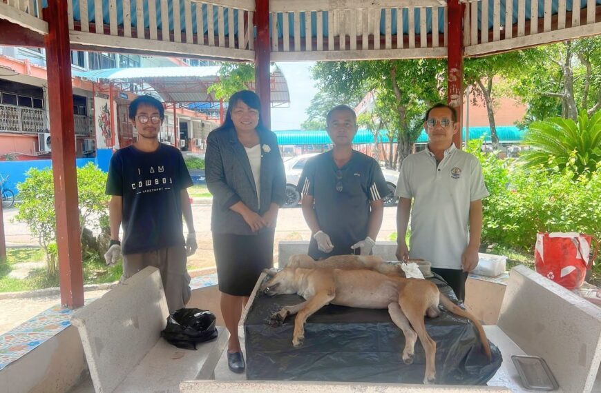 ขอขอบคุณ ปศุสัตว์อำเภอบางบ่อ นำโดย คุณมงคล ก้อนทอง และ คณะ เข้าดูแลสุขภาพ และ ฉีดวัคซีนป้องกันโรคพิษ&hellip;